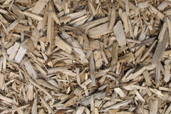 biomass boilers Little Birch